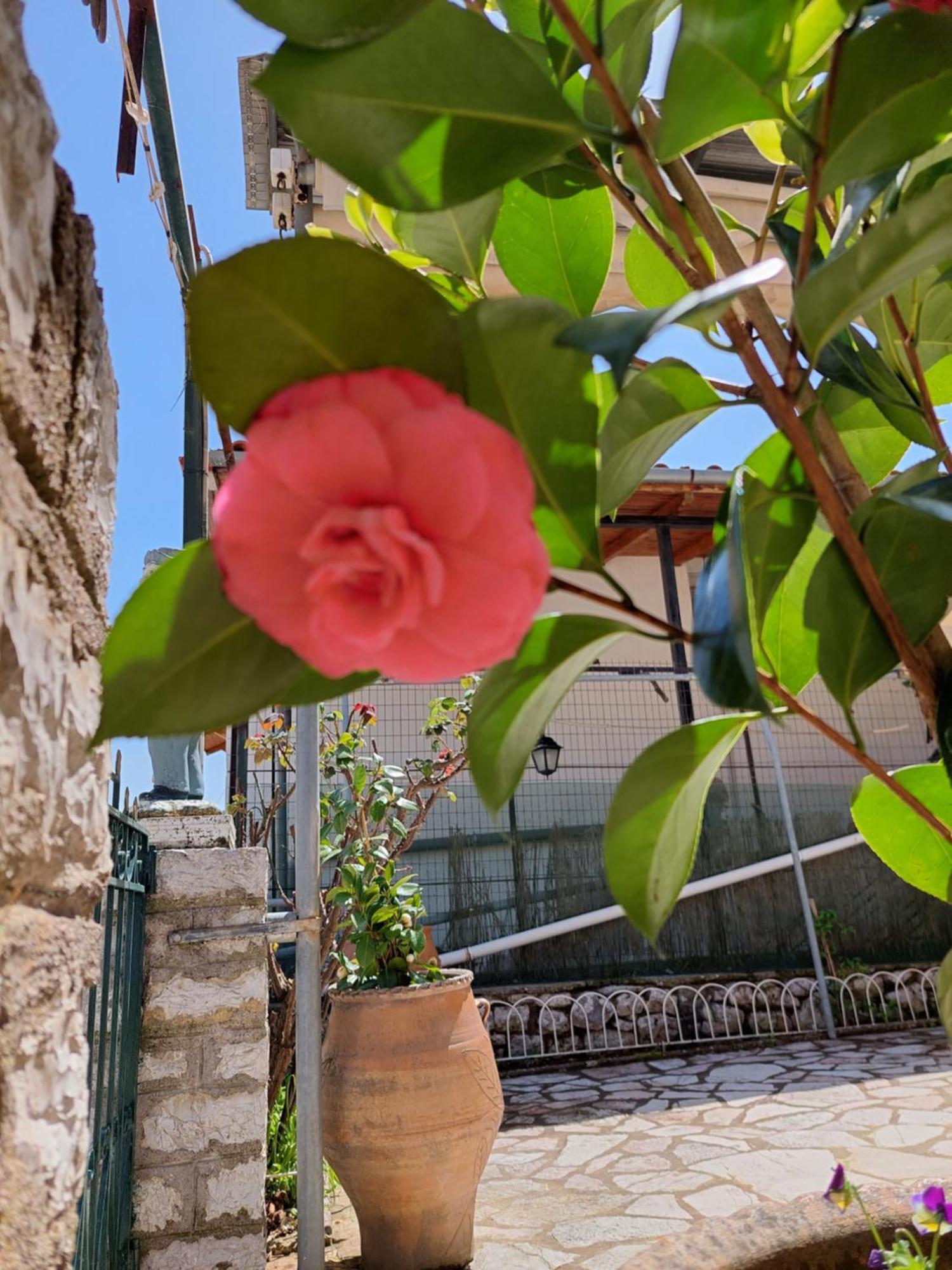 Αρτέμιδα Plus Karpenisi Apartment 外观 照片